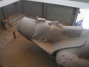 Statua di Ramesse II (Menfi)