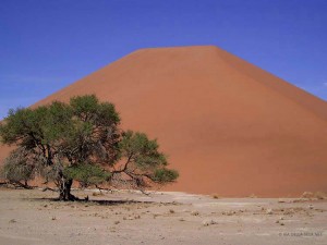 dune del Namib (Namibia)