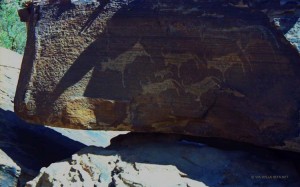 incisioni rupestri di Twyfelfontain (Namibia)