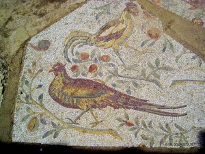 mosaico a Cartagine (Tunisia)