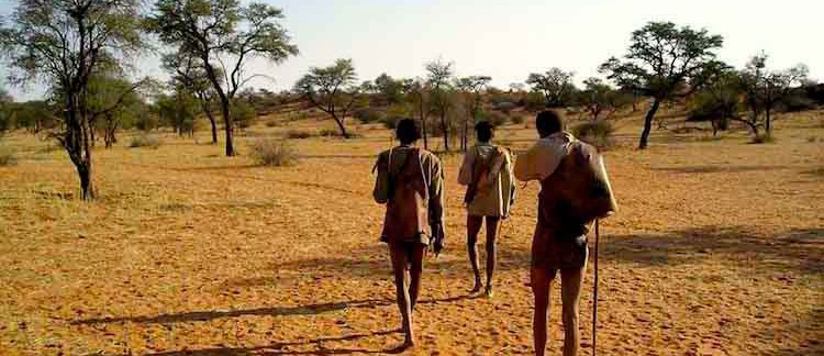 boscimani nel deserto del Kalahari (Namibia)