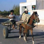 sulle strade di Djerba (Tunisia)