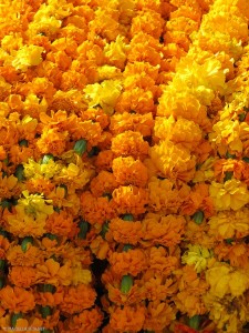 fiori al mercato di Durbar Square (Kathmandu, Nepal)