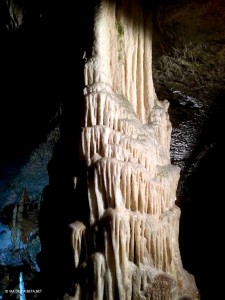 Grotte di Postumia, colonna (Slovenia)