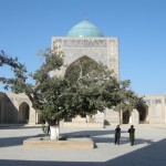 il cortile interno della Medressa di Mir-ir-Arab (Bukhara, Uzbekistan)