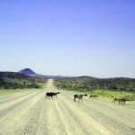 pista per il Damaraland (Namibia)