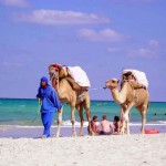 la spiaggia di Djerba (Tunisia)