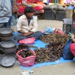 venditore di pesci di Asan Tole (Kathmandu, Nepal)