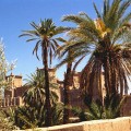 Kasbah di Ameridil (Skoura, Marocco)
