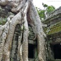 facciata del Ta Prohm (Angkor Wat, Cambogia)